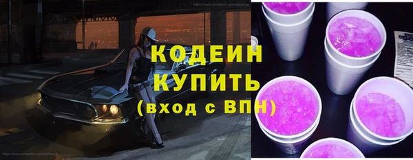 дурь Покачи