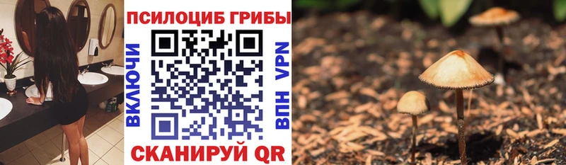 Галлюциногенные грибы MAGIC MUSHROOMS  Рыльск 