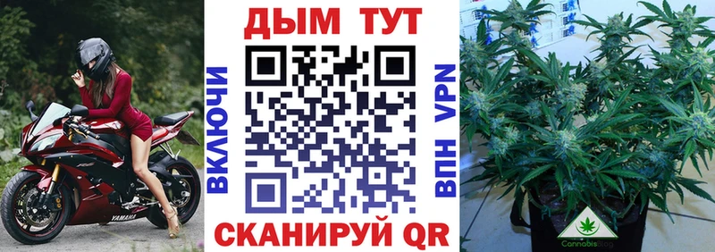 Конопля THC 21%  где купить наркоту  Рыльск 